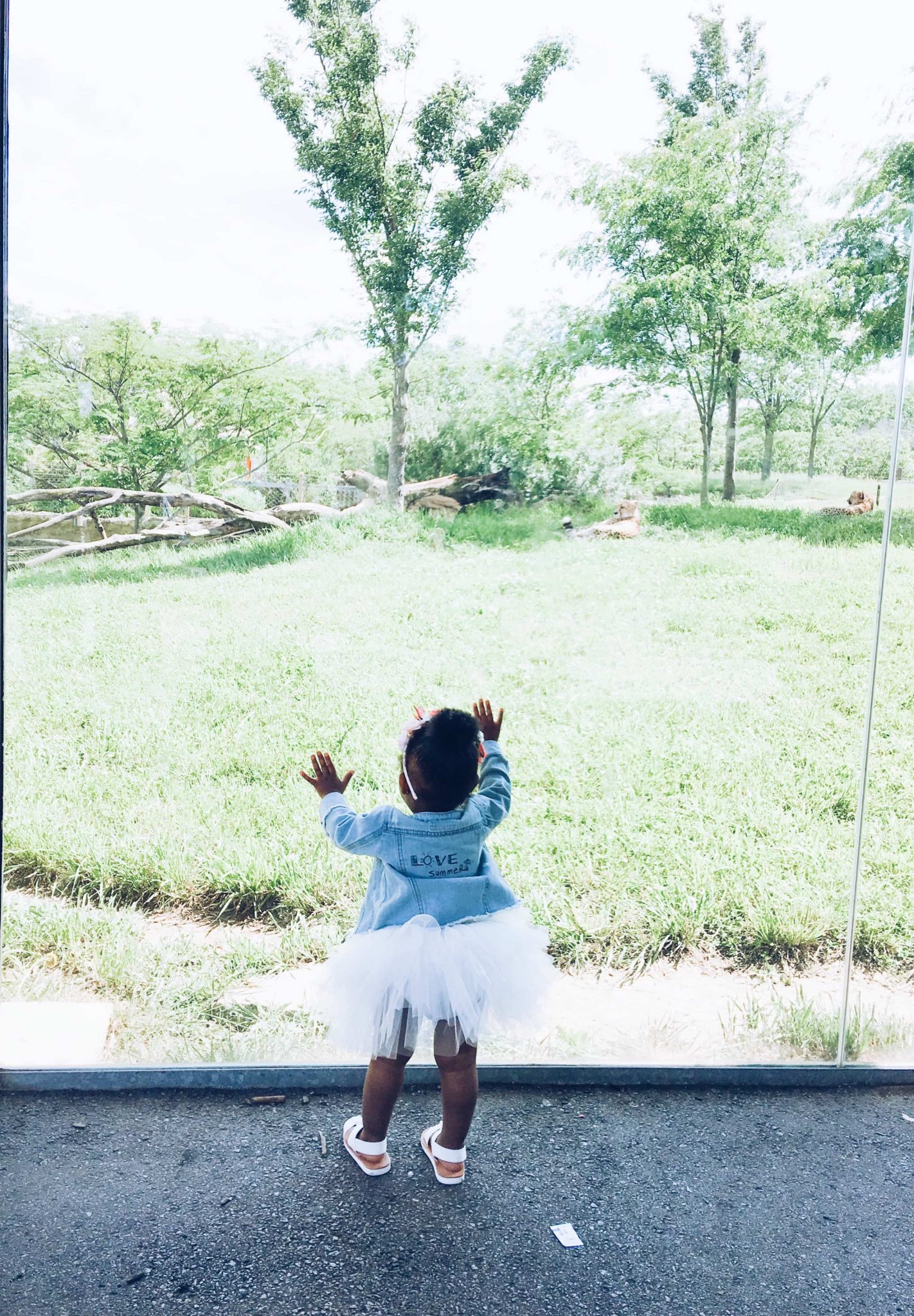 Processed with VSCO with a5 preset